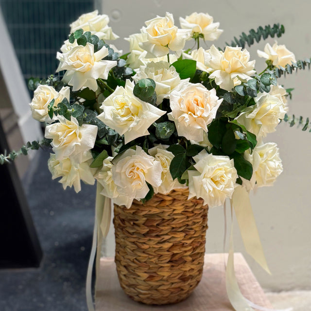 • Elise •  50 white French roses