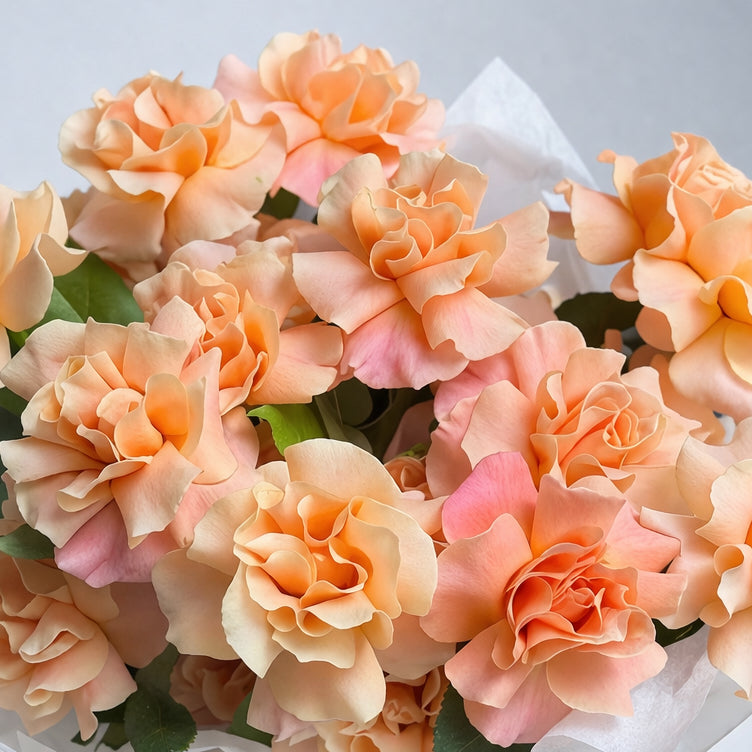 Her name is Beyoncé