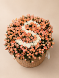 • Samira •  luxury flower arrangement