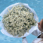 Luxury white chamomiles bouquet available for same-day flower delivery in Miami. Designed by Mamma Mia Flower Studio, a local Miami florist known for elegant bouquets and beautiful floral gifts. Order online today for a romantic surprise or special occasion.