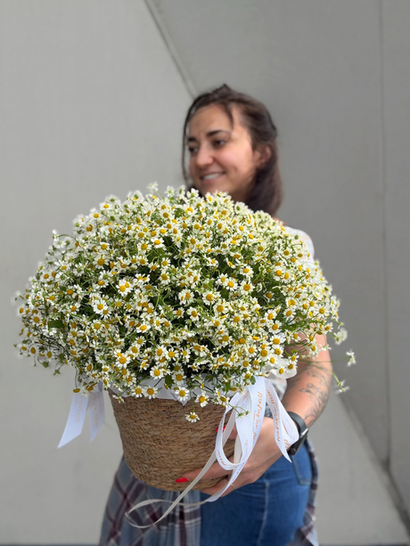 Large chamomile flower basket for same-day flower delivery in Miami