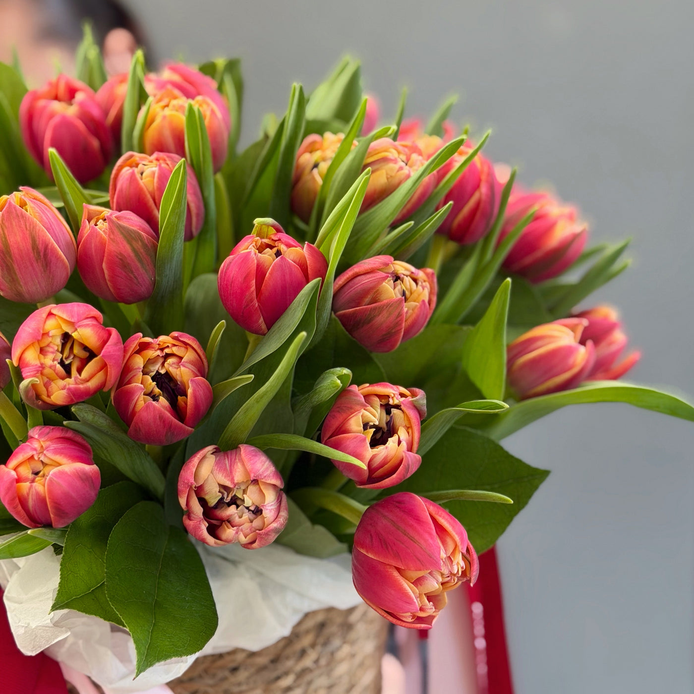 flower basket with tulips – Miami flower delivery